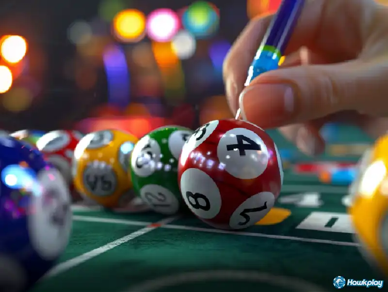 5 Inspiring Winning Stories from Hawkplay Bingo - Hawkplay Casino